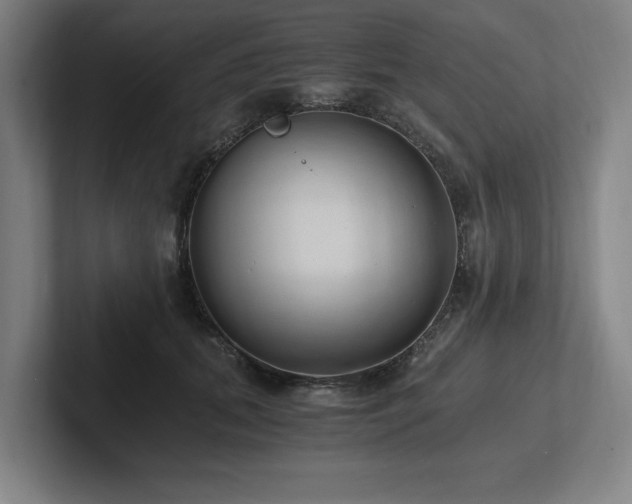 X0000102760655200808181110