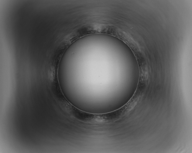 X0000102760656200808181110