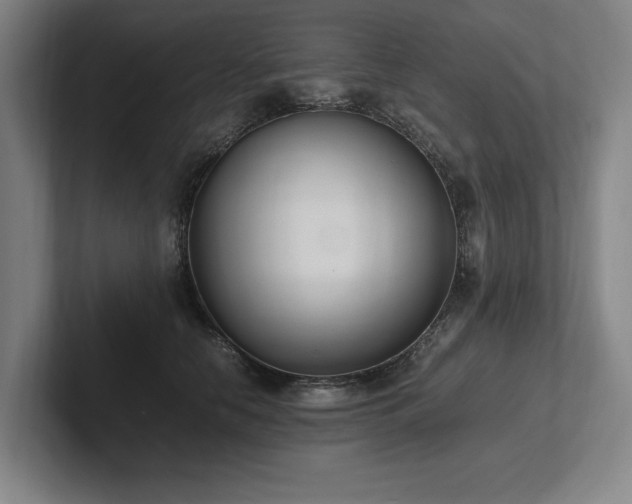 X0000102760658200808181110