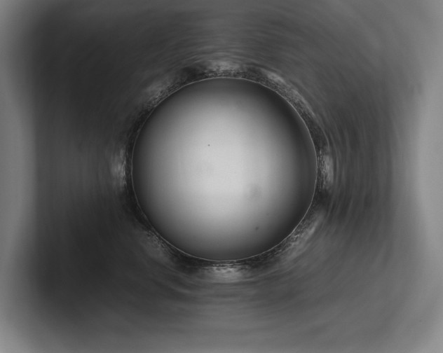 X0000102760668200808181110