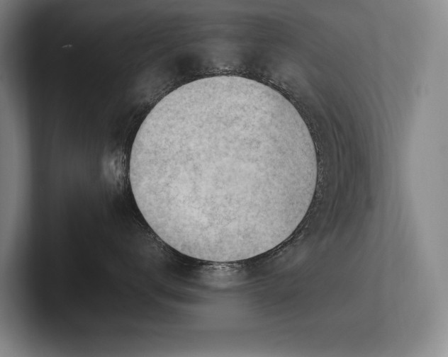 X0000102760672200808181110