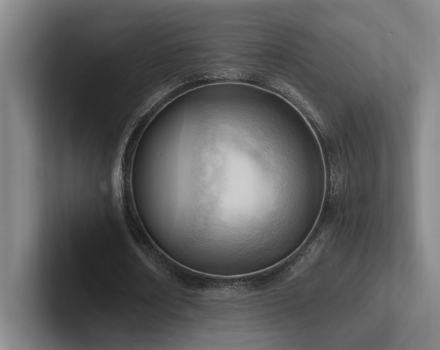 X0000102760674200808181109
