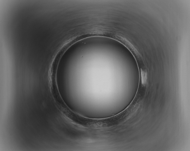 X0000102760675200808181109