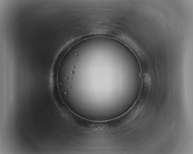 X0000102760676200808181109
