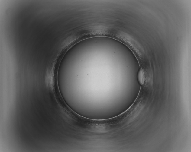 X0000102760677200808181109