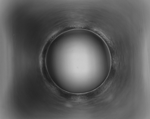 X0000102760679200808181109
