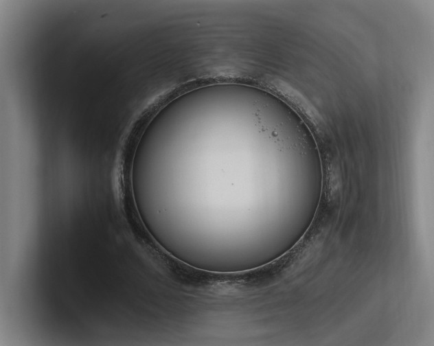 X0000102760680200808181109
