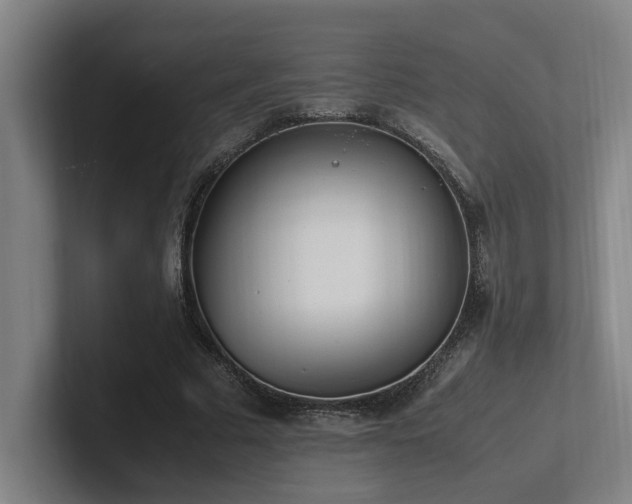 X0000102760681200808181109
