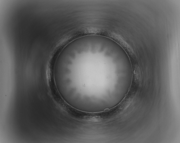 X0000102760683200808181109