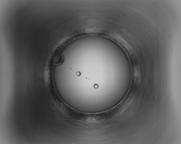X0000102760684200808181109