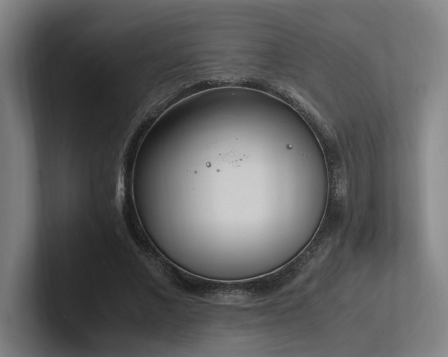 X0000102760685200808181109