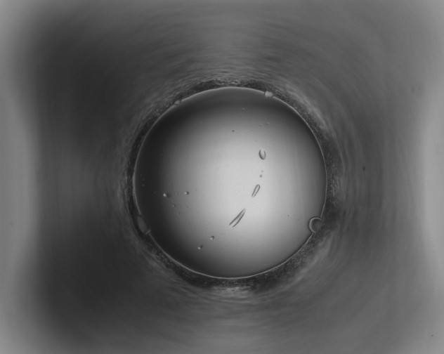 X0000102760689200808181109