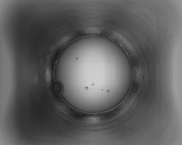 X0000102760692200808181109
