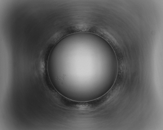 X0000102760693200808181109