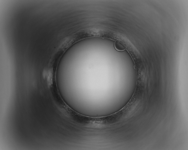 X0000102760694200808181109