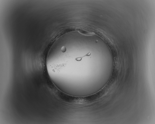 X0000102760695200808181109