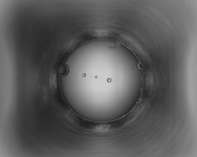 X0000102760700200808181109