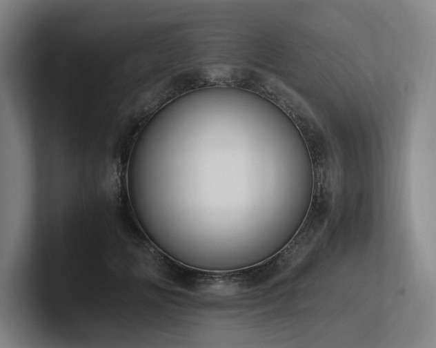 X0000102760702200808181109