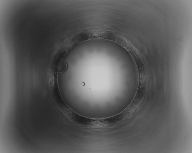 X0000102760703200808181109