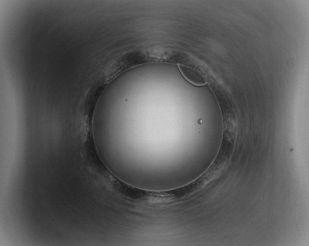 X0000102760707200808181109