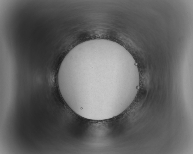 X0000102760709200808181109