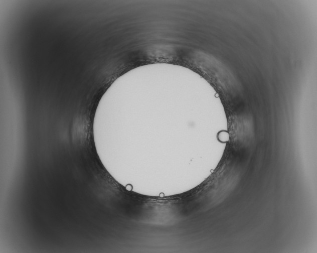 X0000102760713200808181109