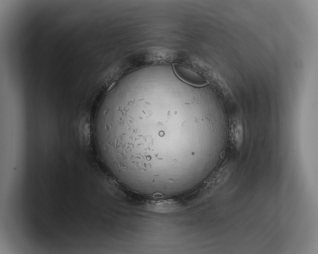 X0000102760716200808181109
