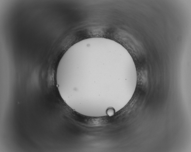 X0000102760717200808181109
