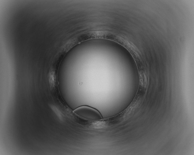 X0000102760718200808181109