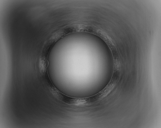 X0000102760719200808181109