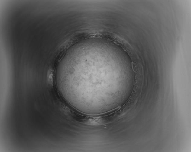 X0000102760720200808181109