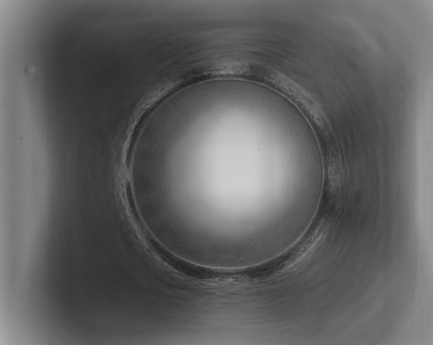 X0000102760721200808181108