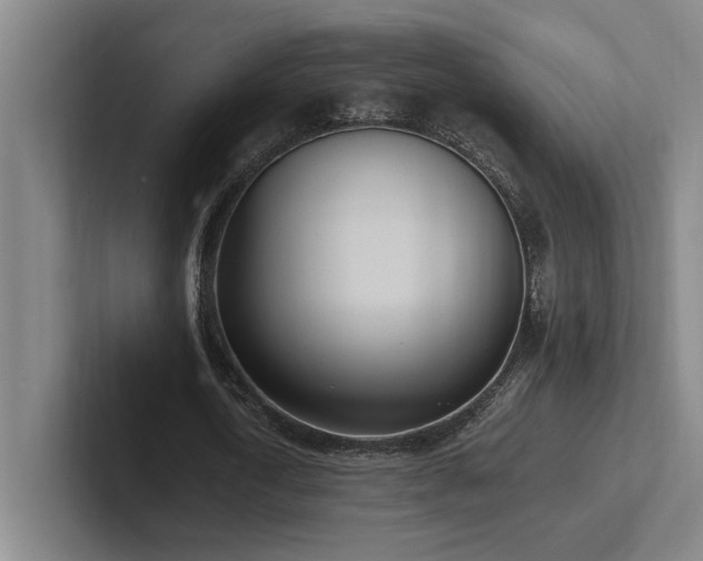 X0000102760722200808181108