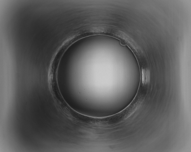 X0000102760723200808181108