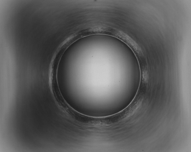 X0000102760724200808181108