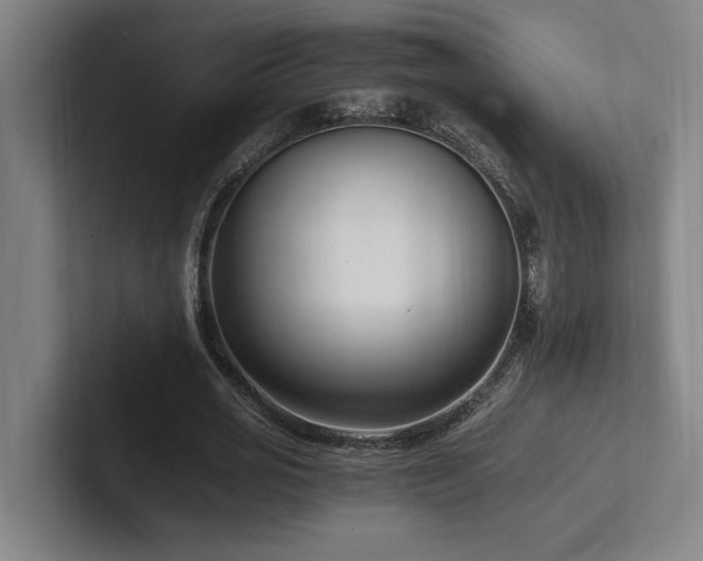 X0000102760725200808181108