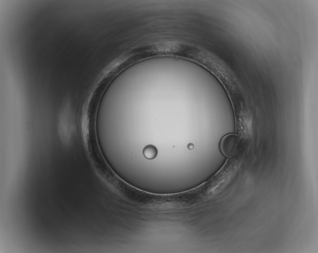X0000102760726200808181108