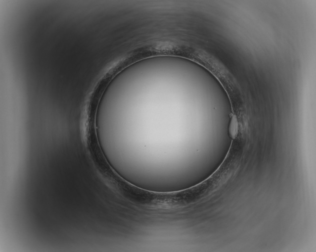X0000102760728200808181108