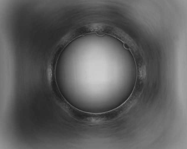 X0000102760733200808181108