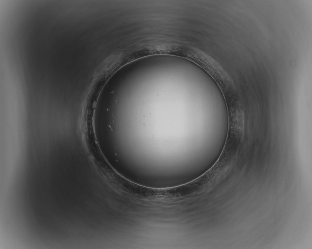 X0000102760738200808181108
