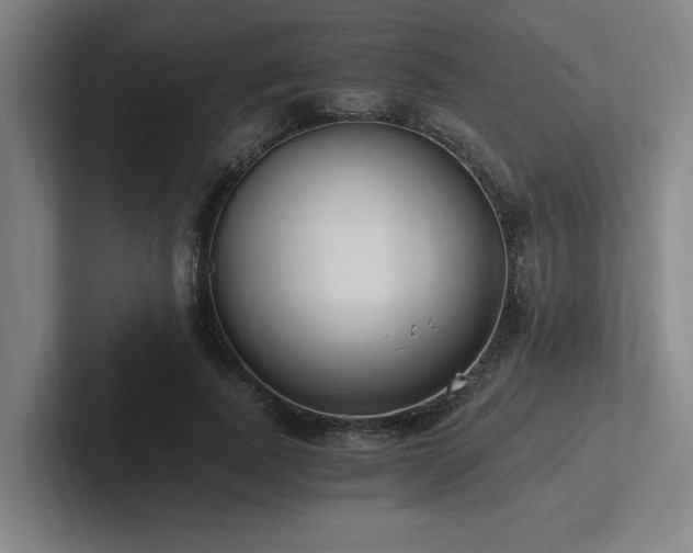X0000102760739200808181108