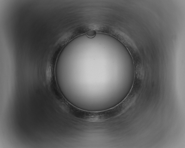 X0000102760740200808181108