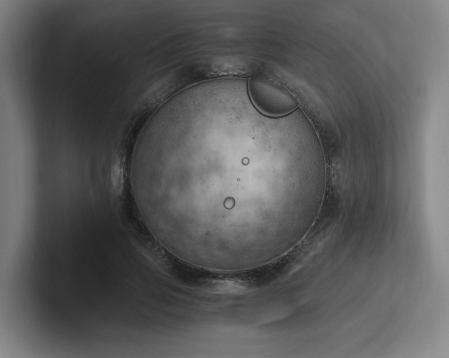 X0000102760741200808181109