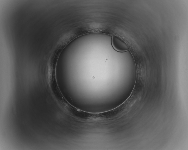 X0000102760742200808181109