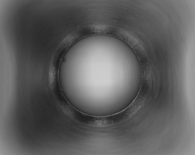 X0000102760744200808181109