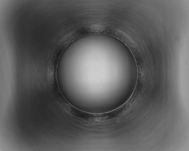 X0000102760745200808181109