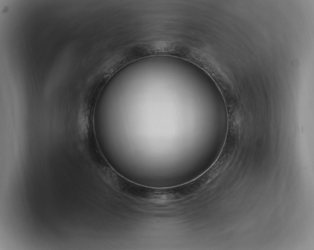 X0000102760746200808181109