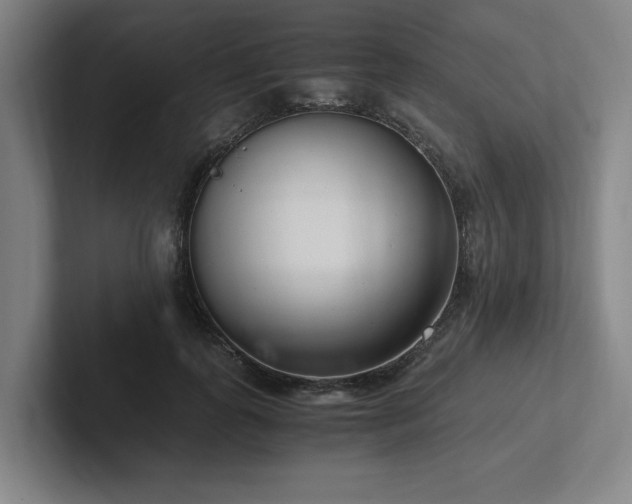 X0000102760747200808181109