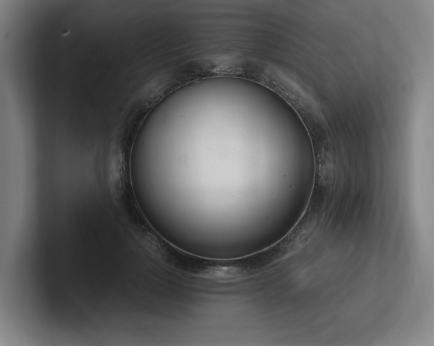 X0000102760748200808181109
