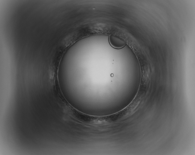 X0000102760749200808181109